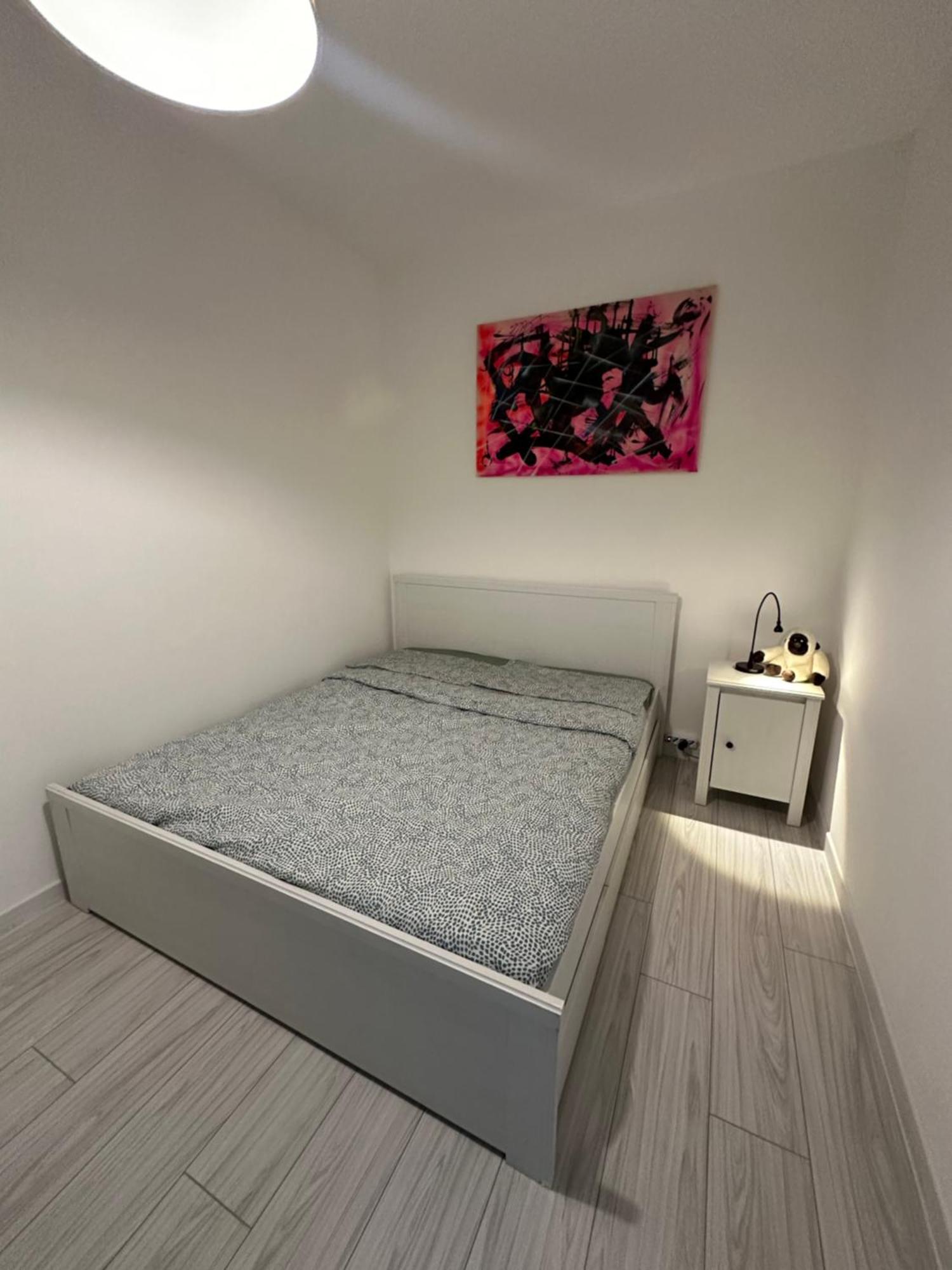 B&B Luna Rosa Pisa Exteriör bild